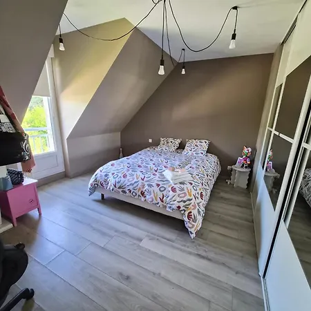 Проживание в семье 130m2 - Circuit 24h Le Mans Арнаж