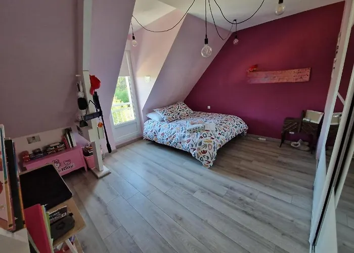 民宿 130m2 - Circuit 24h Le Mans 阿纳齐